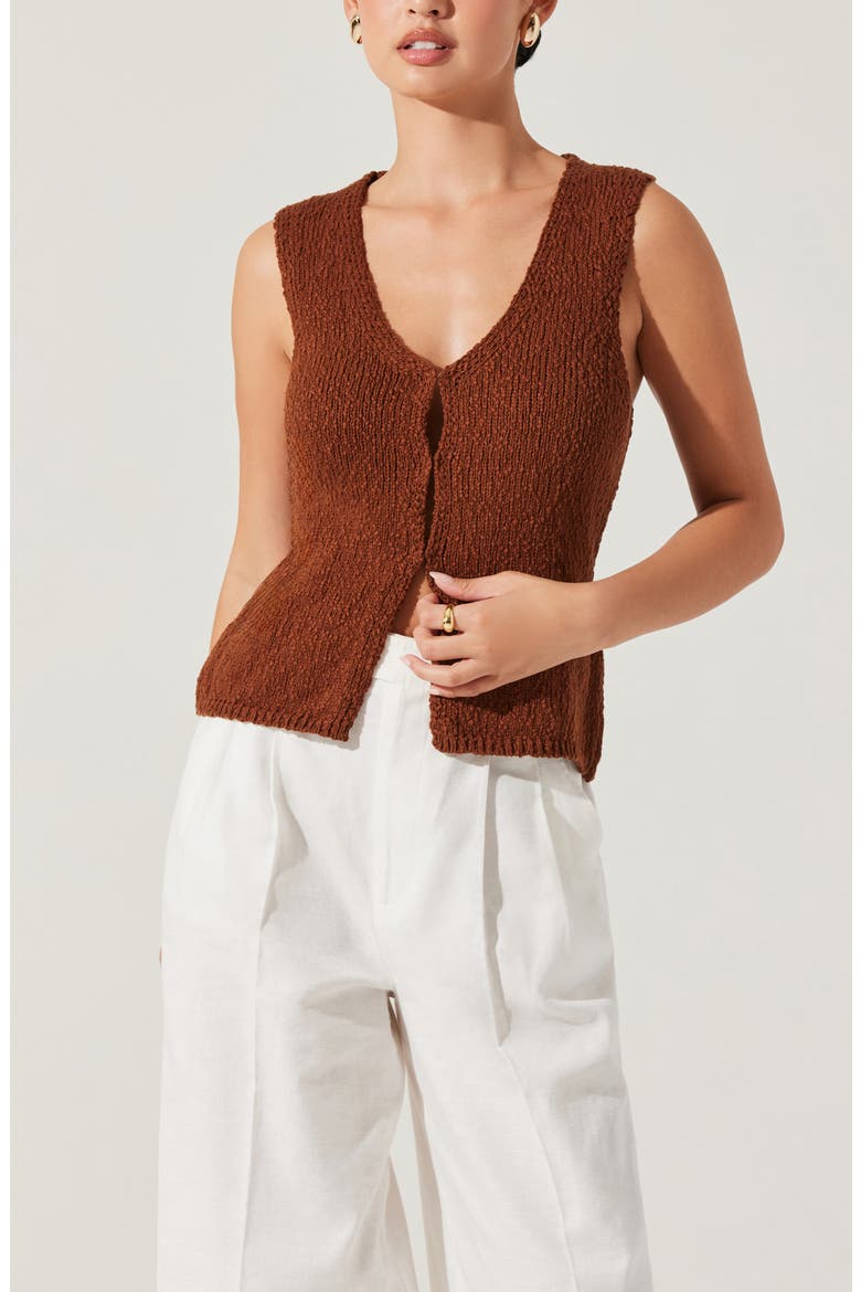 Taimi Sweater Vest, Alternate, color, BROWN