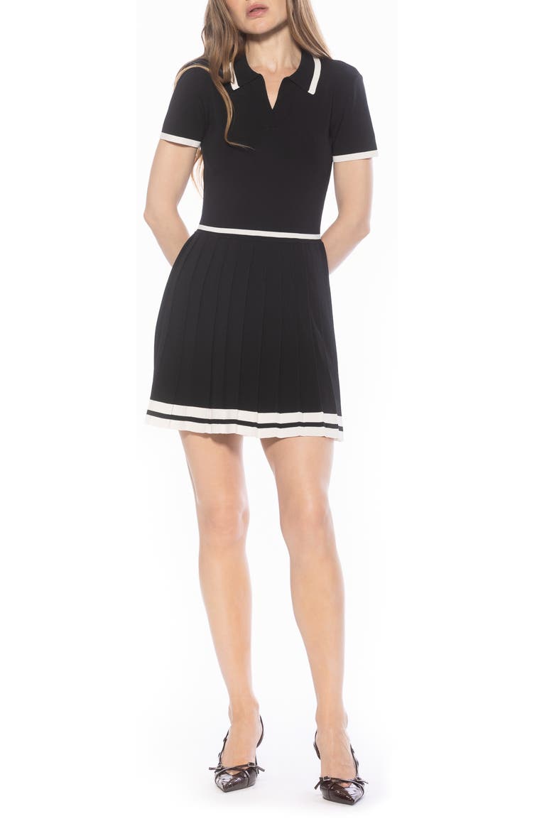 Jasmine Pleated Dress, Main, color, BLACK/ WHITE