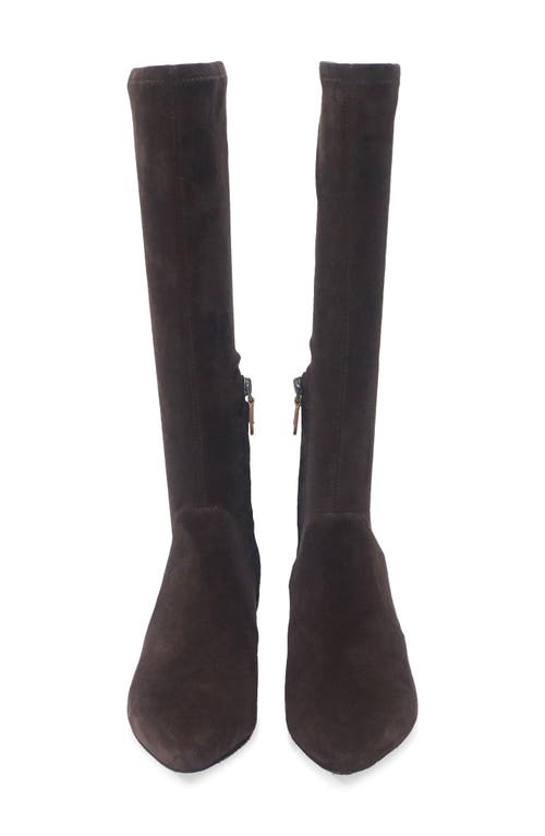 Gentle Souls Gallway Stretch Boot In Brown