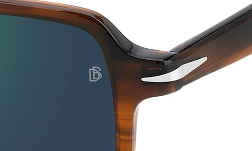 David Beckham Eyewear 51mm Rectangular Sunglasses In Brown Horn/green Sp