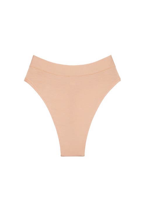 Cuup The Highwaist Thong In Brown