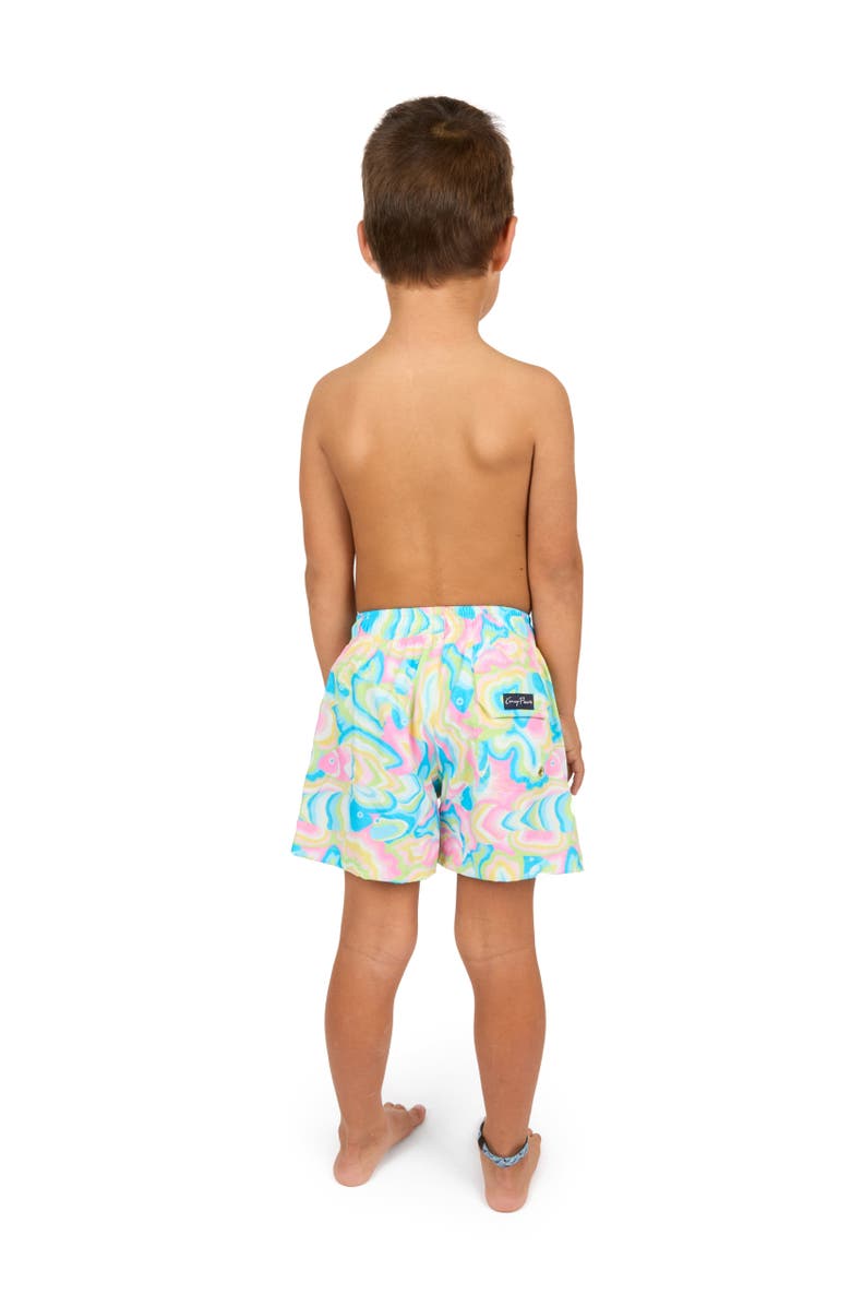 Kenny Flowers The St. Lucia - Boys Swim Trunks UPF 50+, Alternate, color, Multi