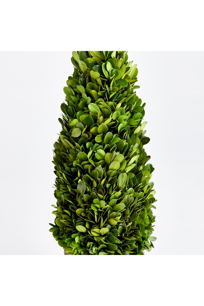 Boxwood Cone Topiary Drop-In 16", Alternate, color, Green