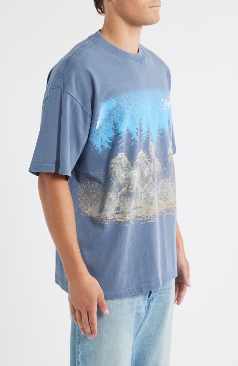 ID Supply Co Wild Lands Graphic T-Shirt, Alternate, color, Washed Navy