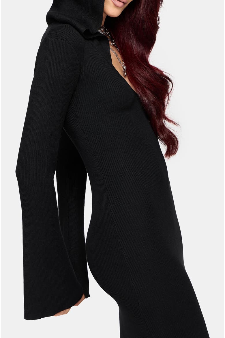 Heike Hooded Ribbed Knit Dress, Alternate, color, Black