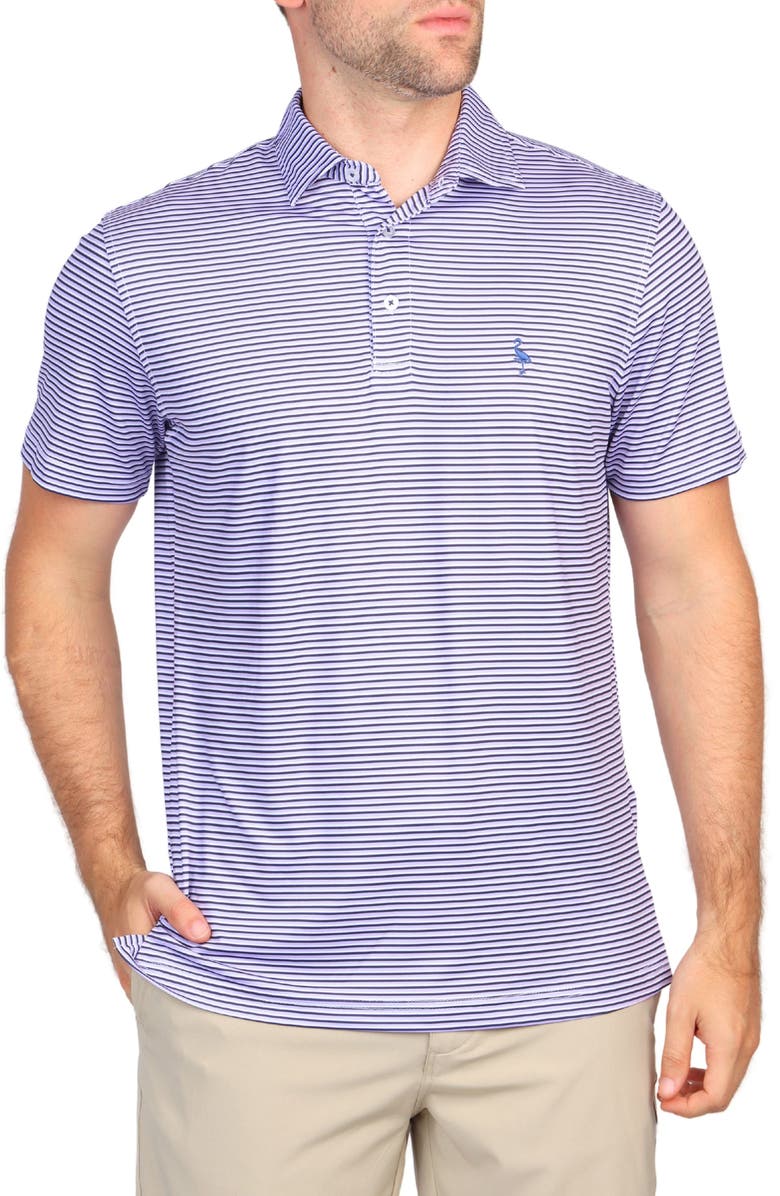 TailorByrd Multi Stripes Performance Polo, Main, color, Purple
