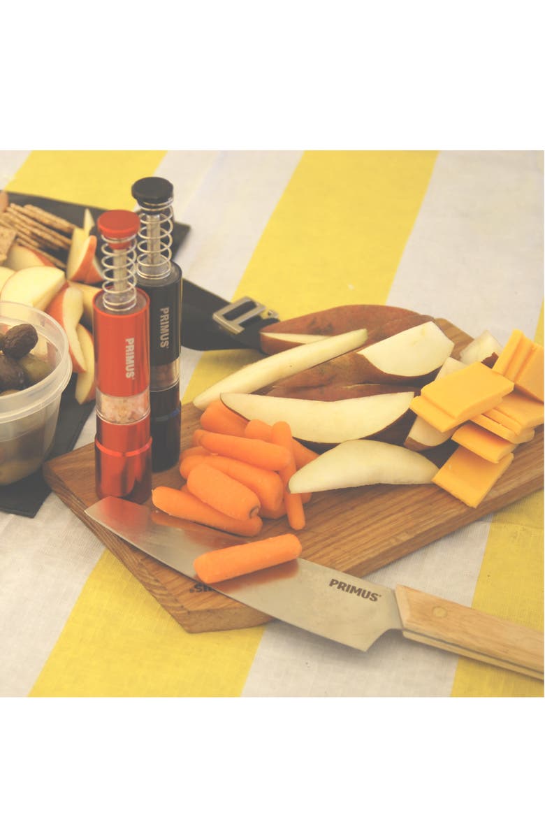 Primus Campfire Cutting Set, Alternate, color, 