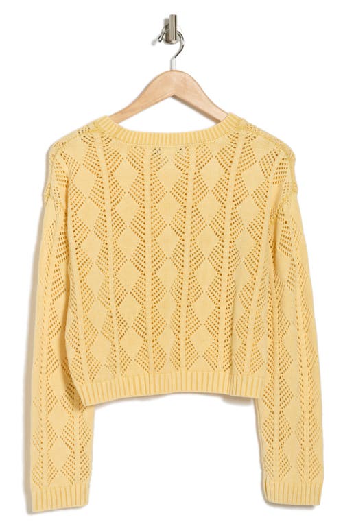 Cotton Emporium Pointelle Openwork Cotton Sweater In Butter Yellow
