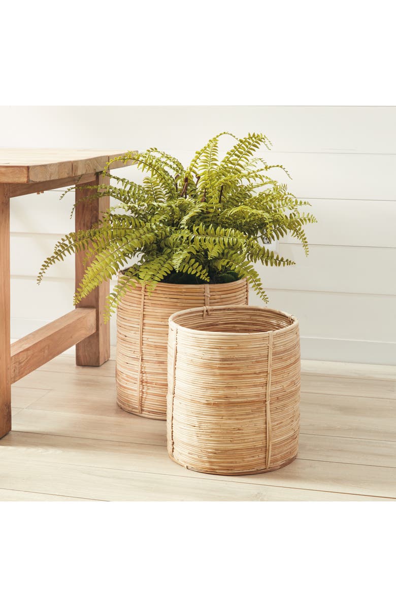 Napa Home & Garden Cane Rattan Round Tree Baskets, Set Of 2, Alternate, color, Beige