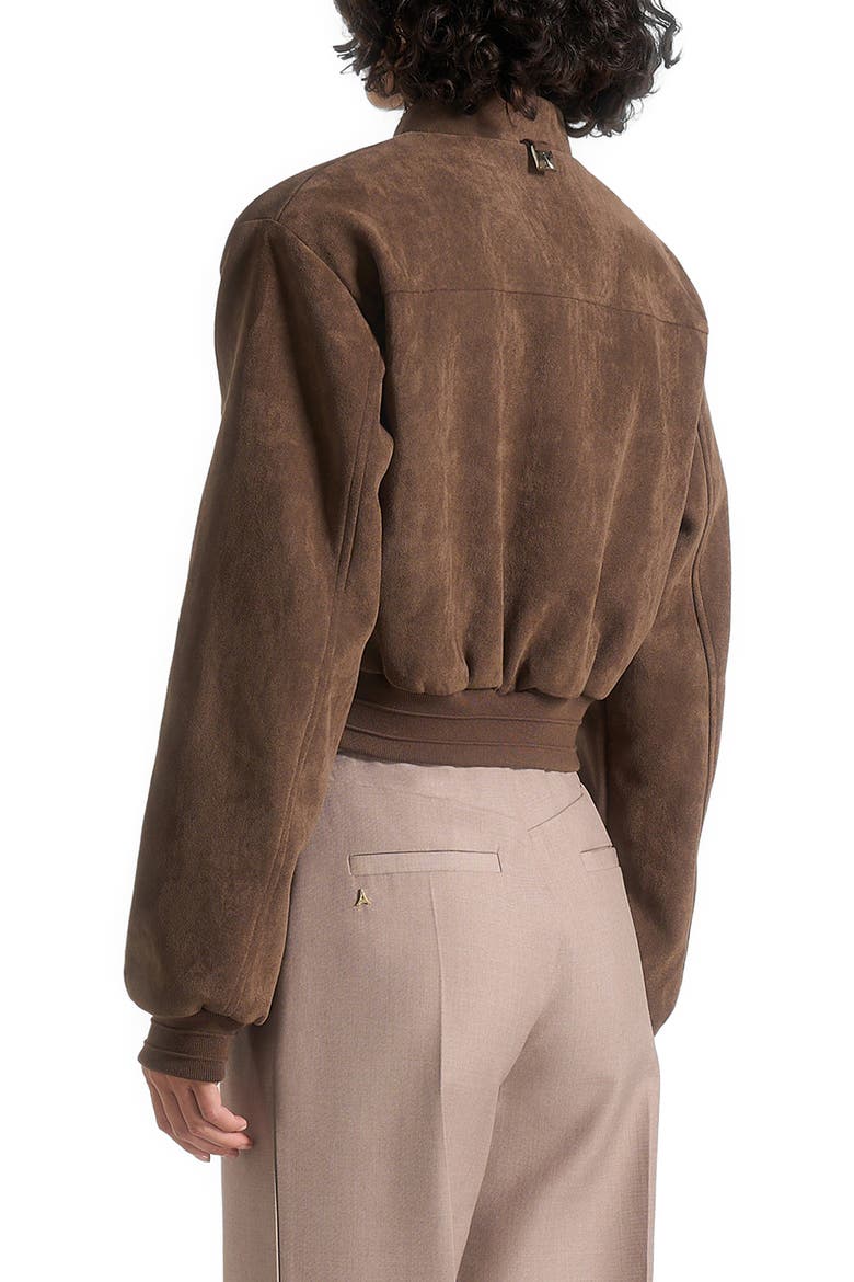 Monique Suede Wide Shoulder Bomber Jacket, Alternate, color, Brown