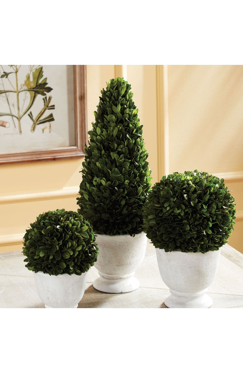 Napa Home & Garden Boxwood Cone Topiary In Pot, Alternate, color, Green