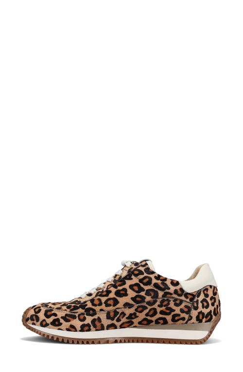 Vaneli Queen Sneaker In Brown