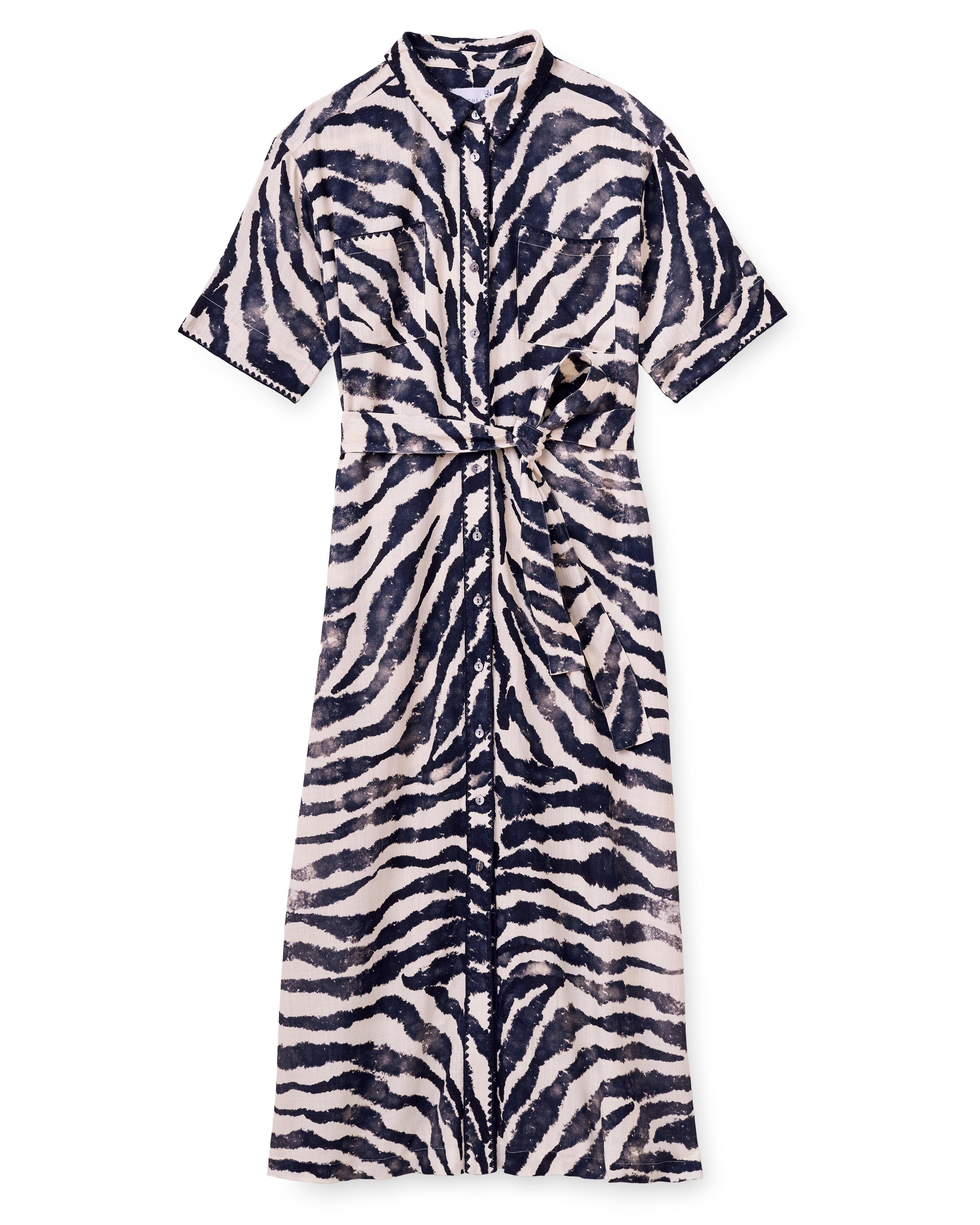selected Painted Zebra