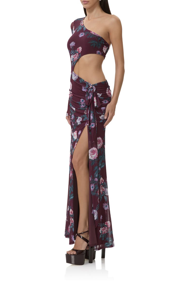 Shai Cutout One-Shoulder Maxi Dress, Alternate, color, CABERNET BOUQUET