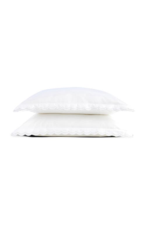 Christy Scallop Edge Luxury Cotton Sateen Oxford Style Pillow Sham Pairs