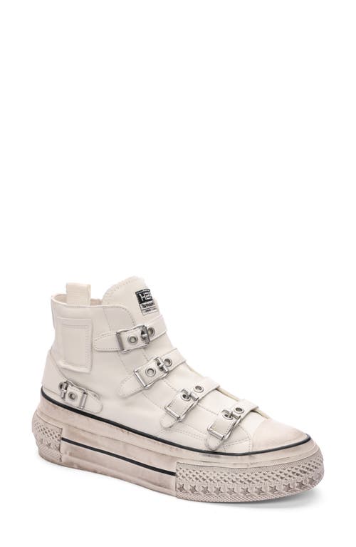 Ash Rainbow Sneakers In Tofu