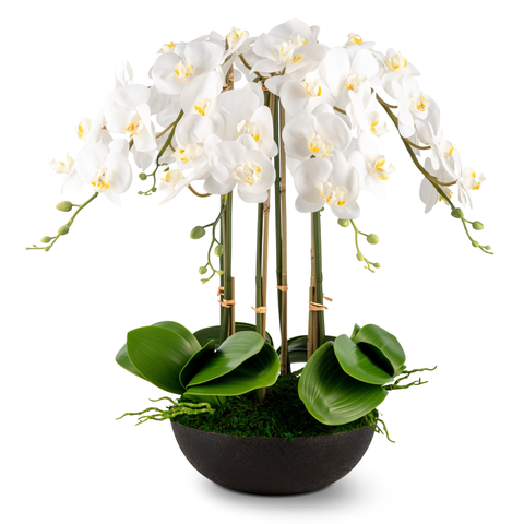 Abella RealTouch Orchid Arrangement
