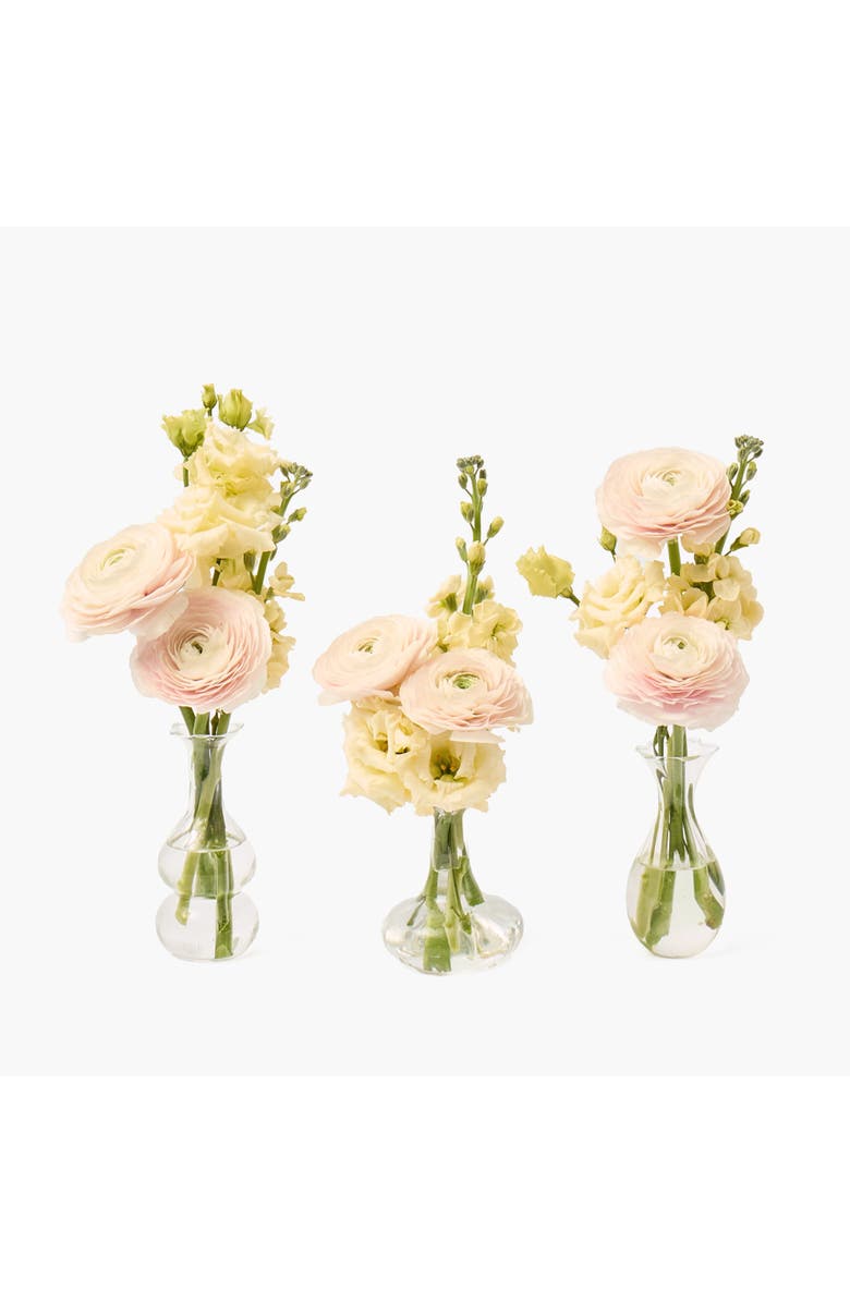 Mrs. Alice Esme Bud Vase Set, Main, color, Clear
