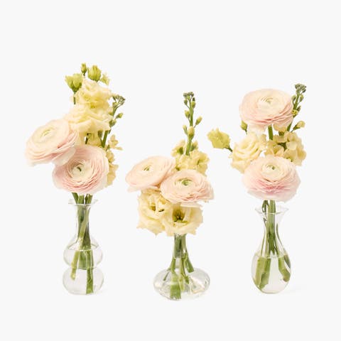 Esme Bud Vase Set (Set of 3)