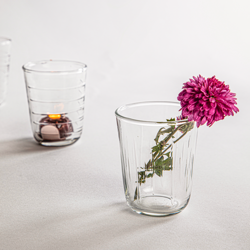 The Collective Home Hudson Short Glasses