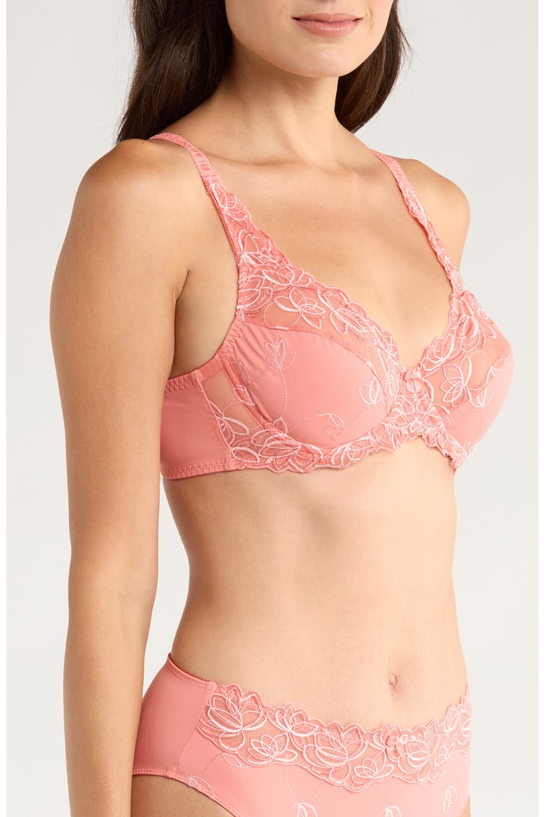Diva Embroidered Mesh Underwire Bra, Alternate, color, LANTANA