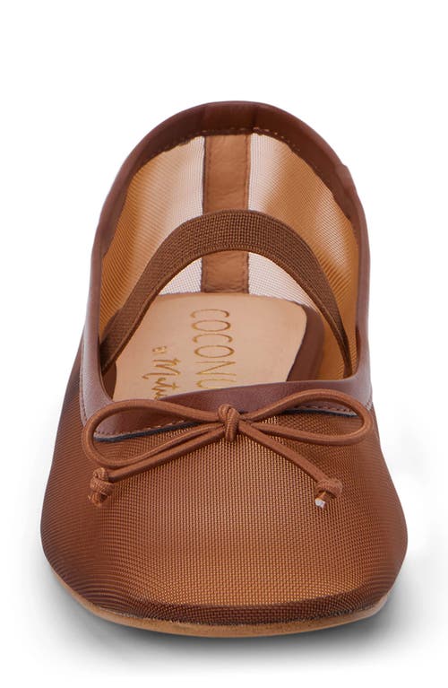 Coconuts By Matisse Bronx Mesh Ballerina Flat In Brown Mesh