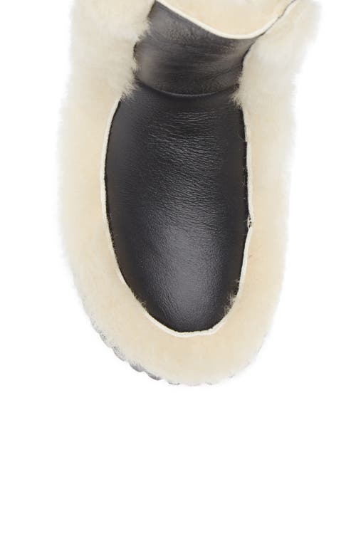 4ccccees Plia Fero Genuine Shearling Platform Bootie In Black