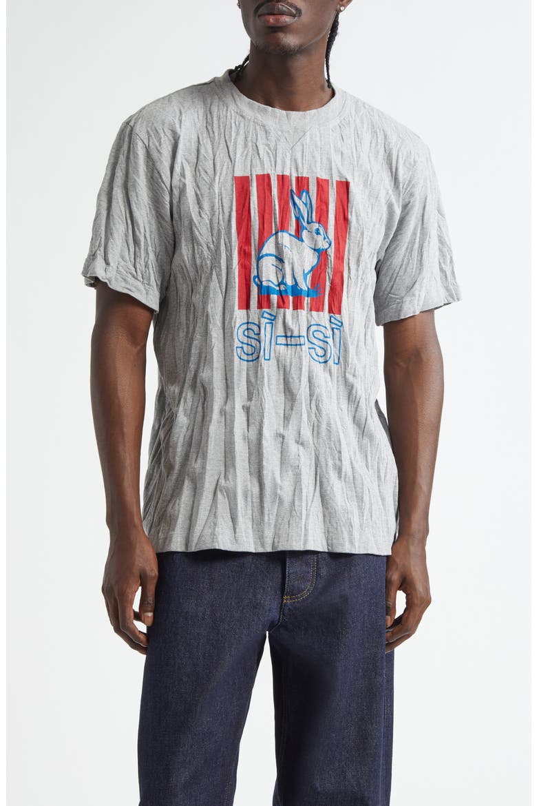 Bottega Veneta Crushed Sisi Jersey Graphic T-Shirt (Men) | Nordstrom