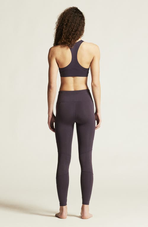 Craft Collective Padded Sports Bra