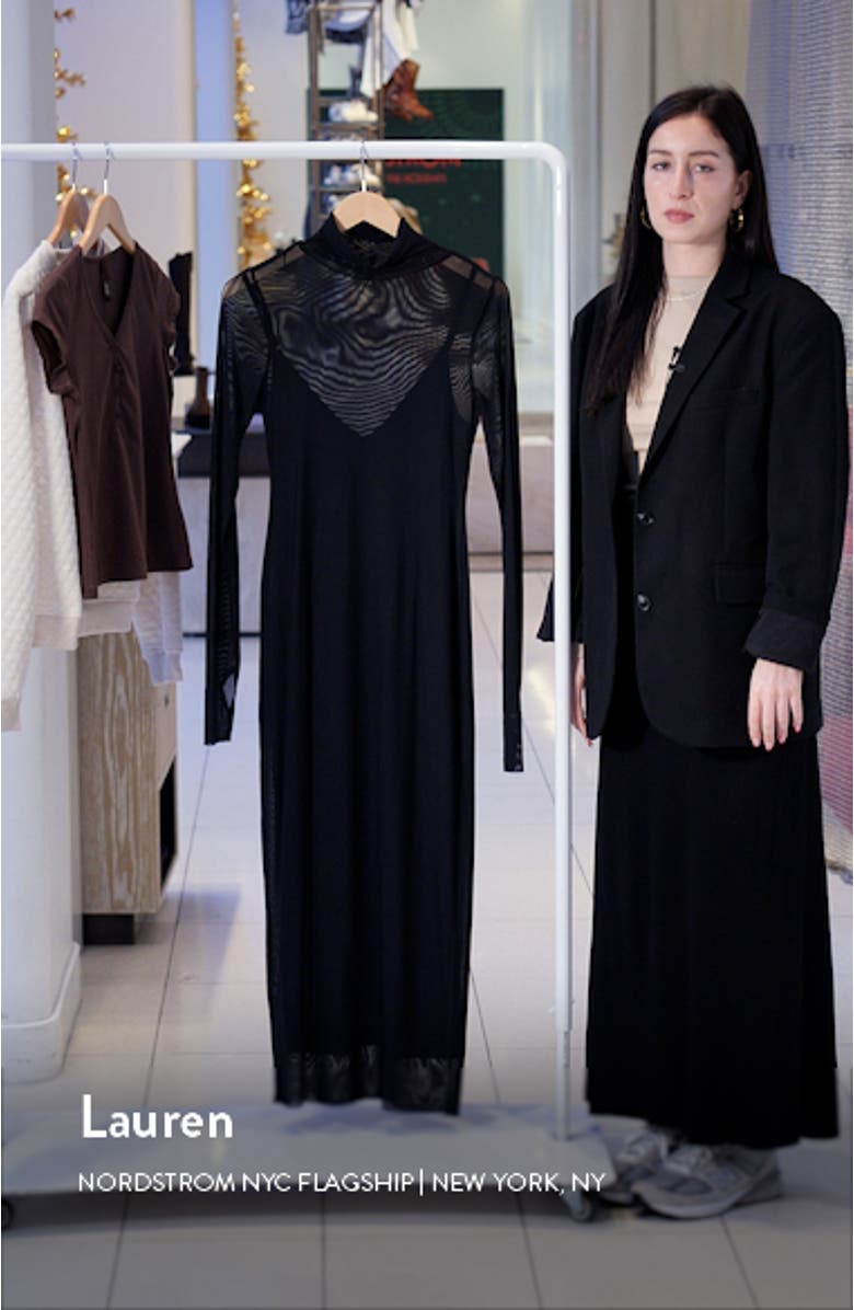 Shailene Sheer Long Sleeve Dress, sales video thumbnail