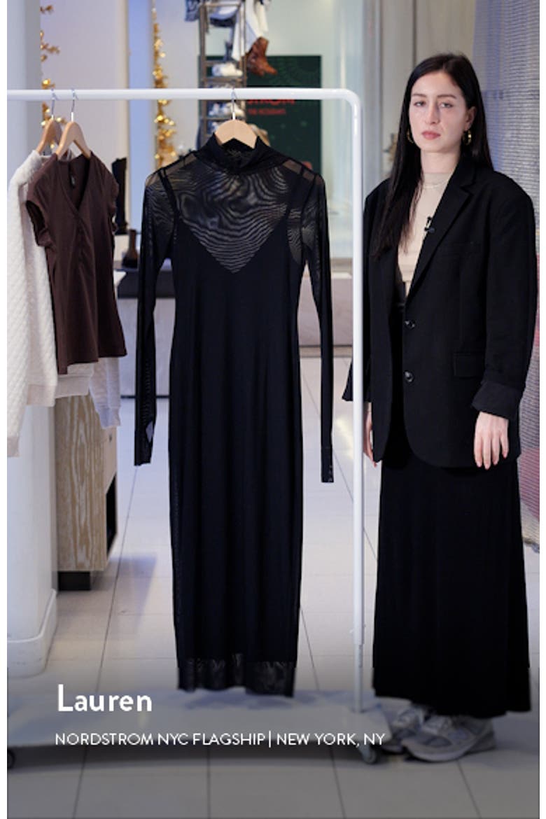 Shailene Sheer Long Sleeve Dress video