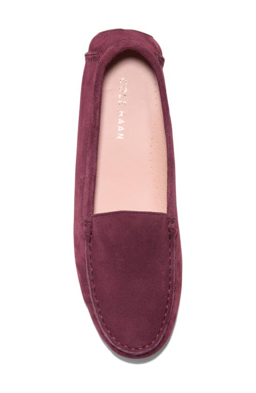Cole Haan Emmie Driving Loafer In Animal Print