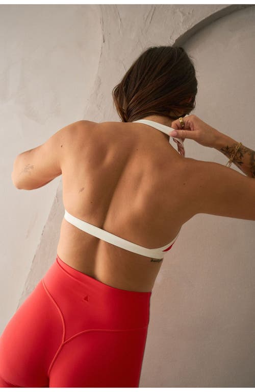 Vitality Cloud Ii Mini Halter Bra In Multi