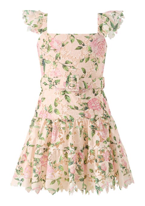 Leonora Embroidered Mini Dress (Toddler, Little Kid & Big Kid)