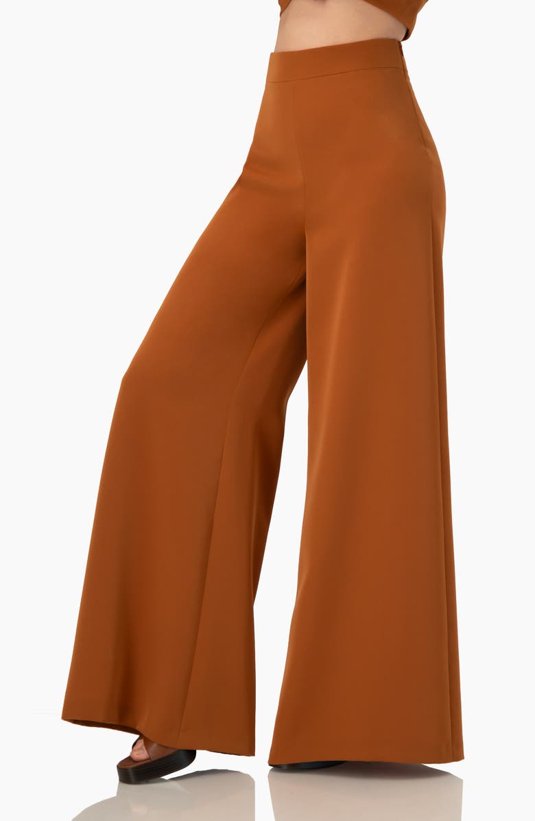 IVONNE Solid Ultra Wide-Leg Pants, Alternate, color, Brown