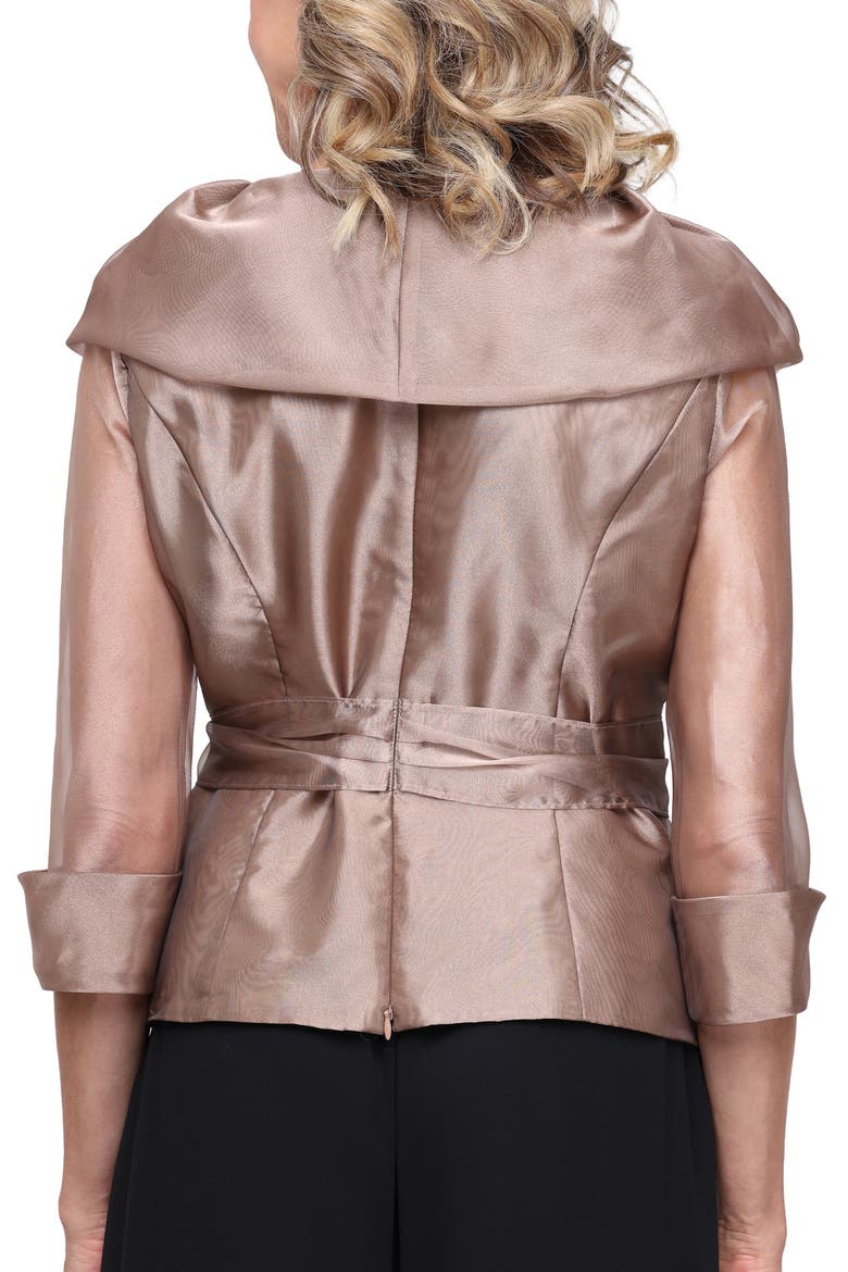Shawl Collar Organza Top, Alternate, color, BRONZE