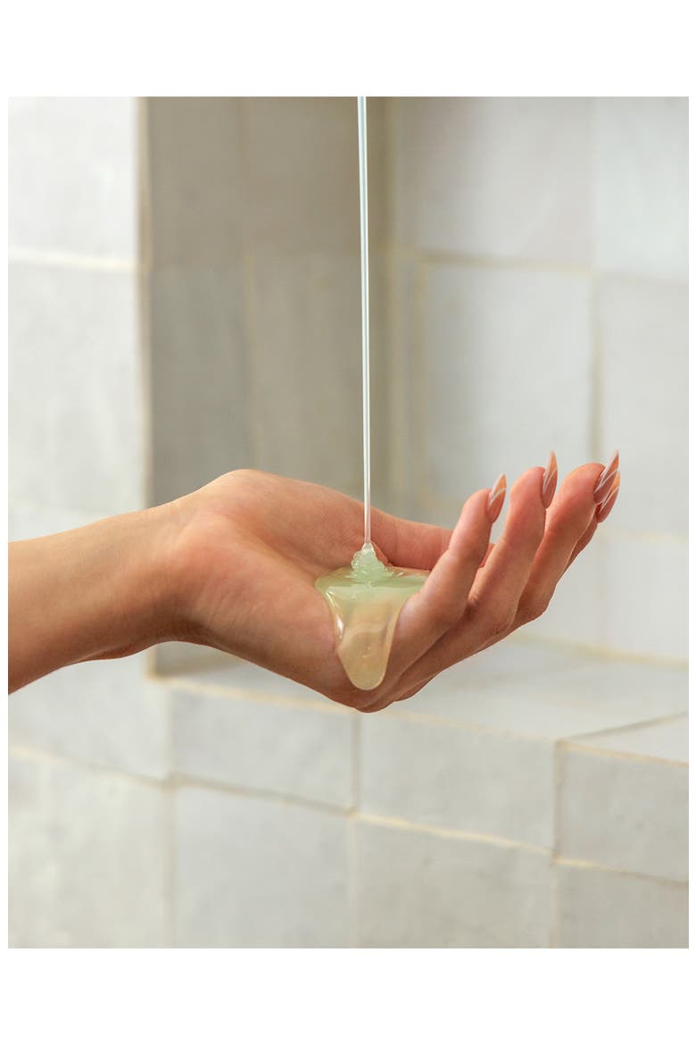 Cactus Shower Gel - Dulce de Cuerpo, Alternate, color, NO COLOR