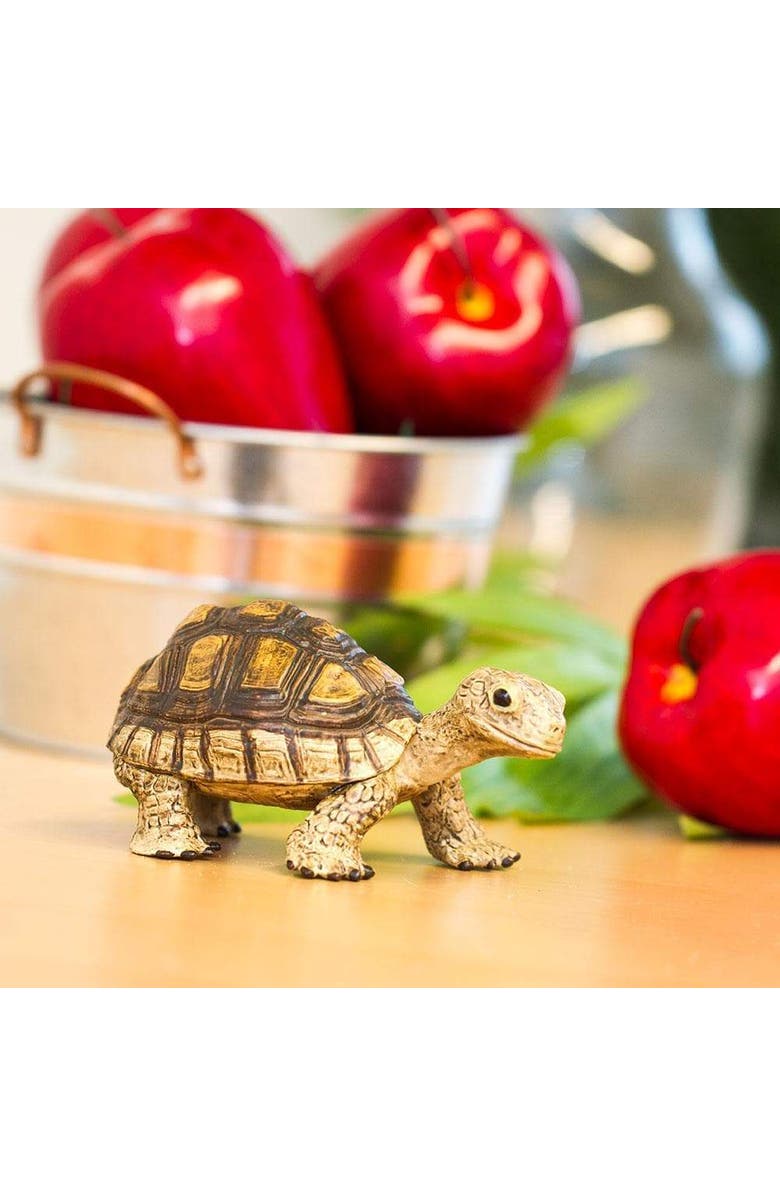 Safari Ltd. Tortoise Toy, Alternate, color, NO COLOR