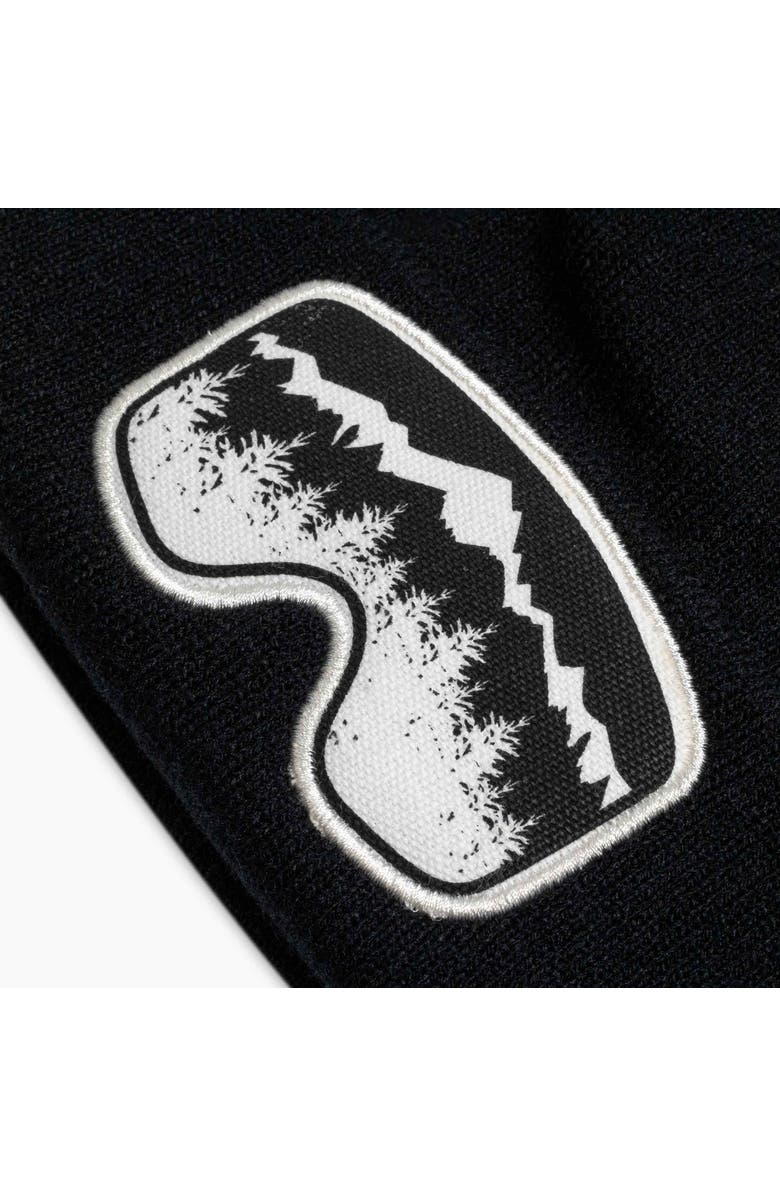 Turtle Fur Youth Scenic Vision Winter Hat, Alternate, color, 