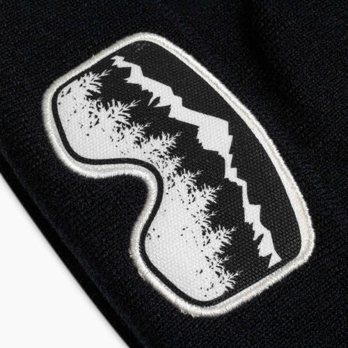 Turtle Fur Youth Scenic Vision Winter Hat In Black