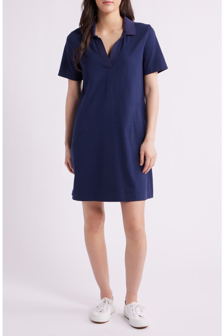 Islandscape Jersey Polo Dress, Main, color, COASTLINE