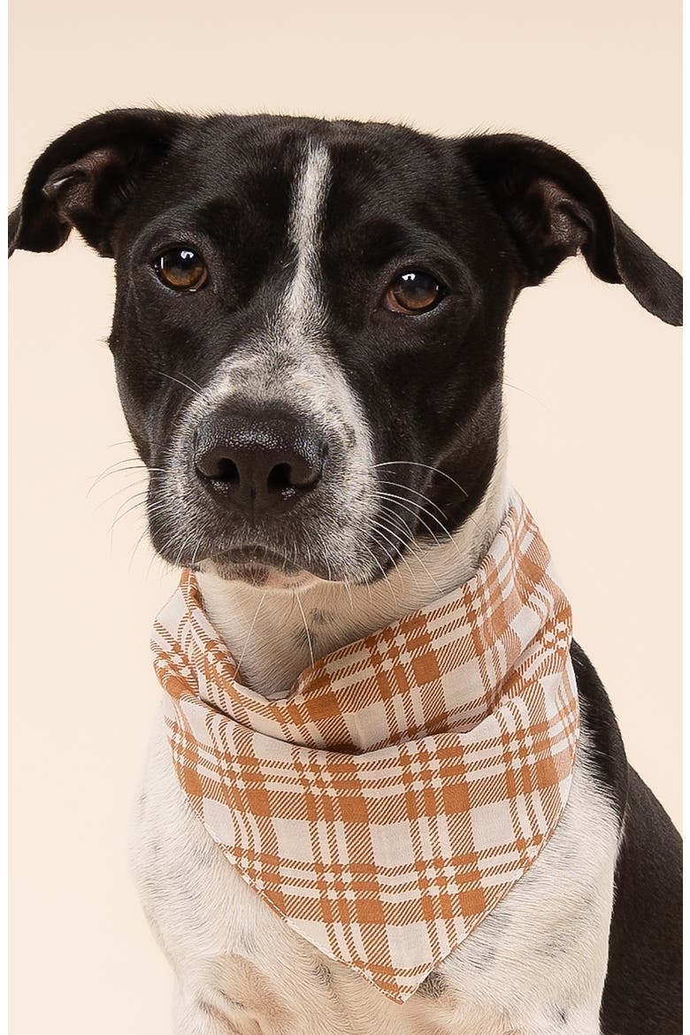 Ginger Dog Bandana, Alternate, color, ORANGE