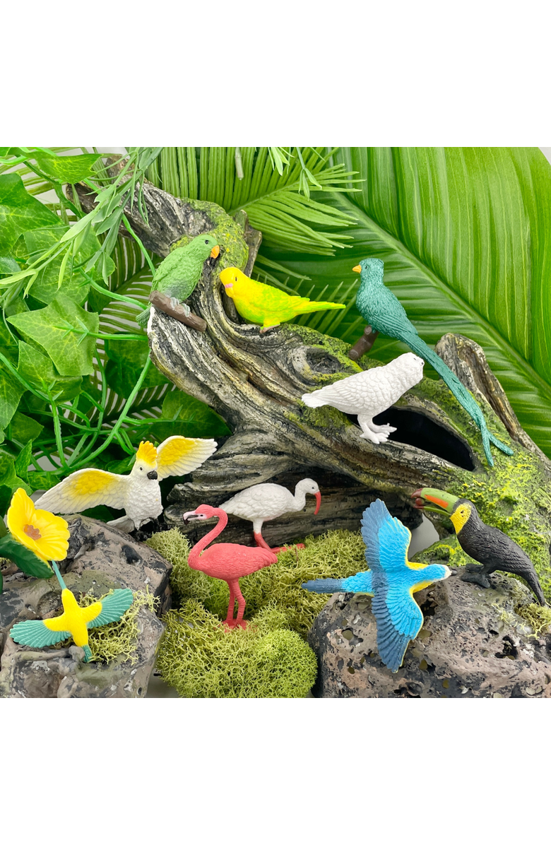 Safari Ltd. Exotic Birds Toy, Alternate, color, NO COLOR