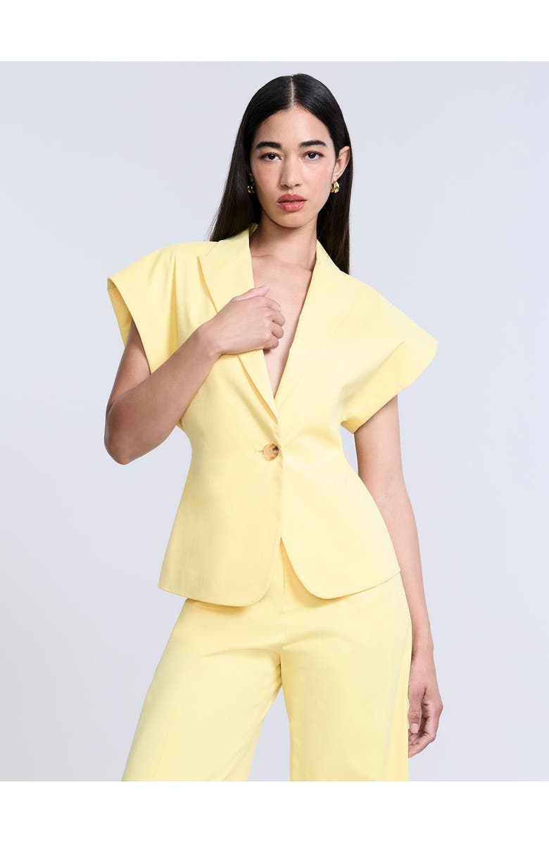 BCBGMAXAZRIA Twill Vest, Main, color, Camomile