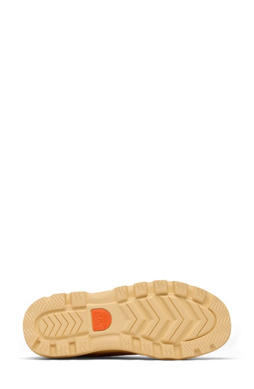 SOREL SOREL SCOUT N ABOUT™ LOW SNEAKER