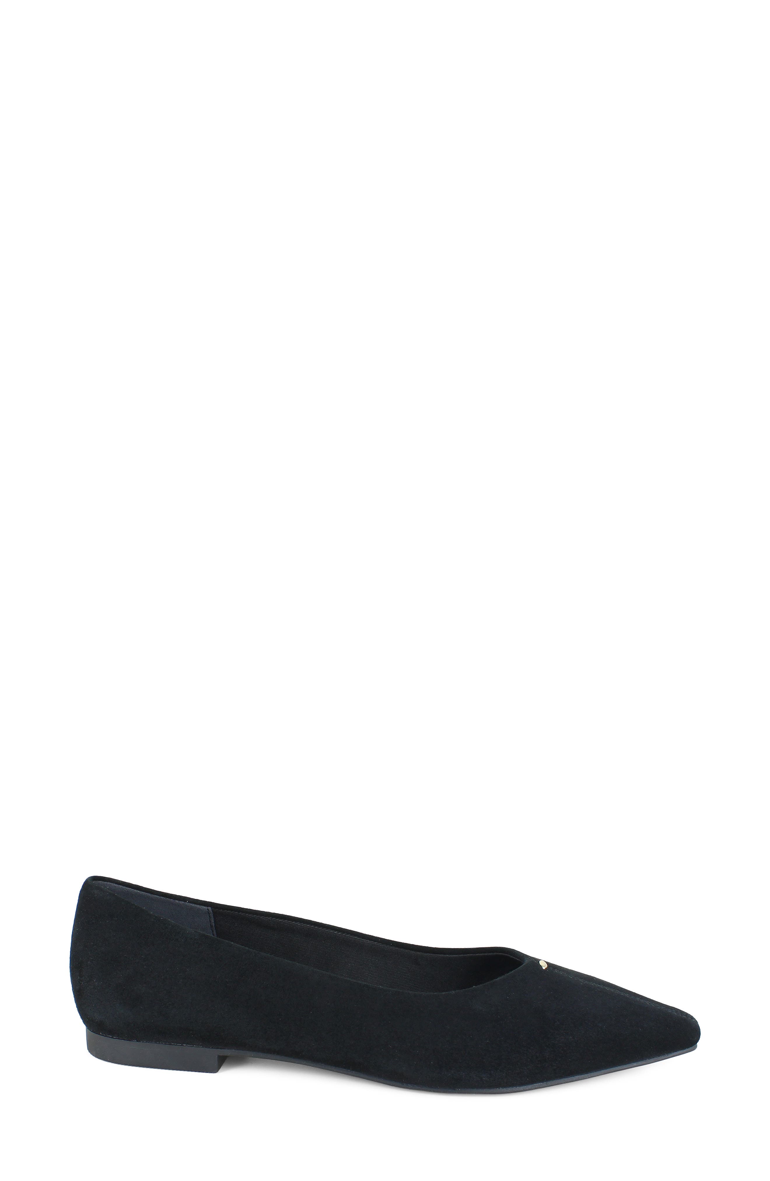 Nala Pointed Toe Flat, Alternate, color, BLACK SUEDE