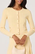 ASTR the Label Myrtle Pointelle Knit Cardigan
