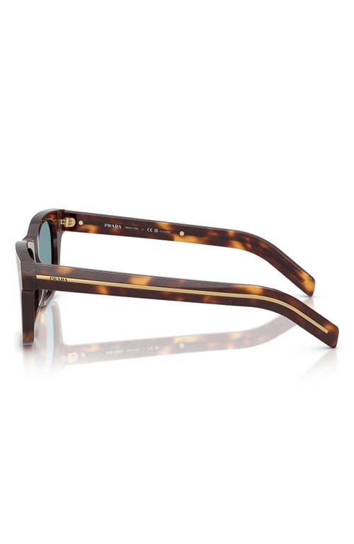 Prada 55mm Polarized Rectangular Sunglasses In Green Tortoise