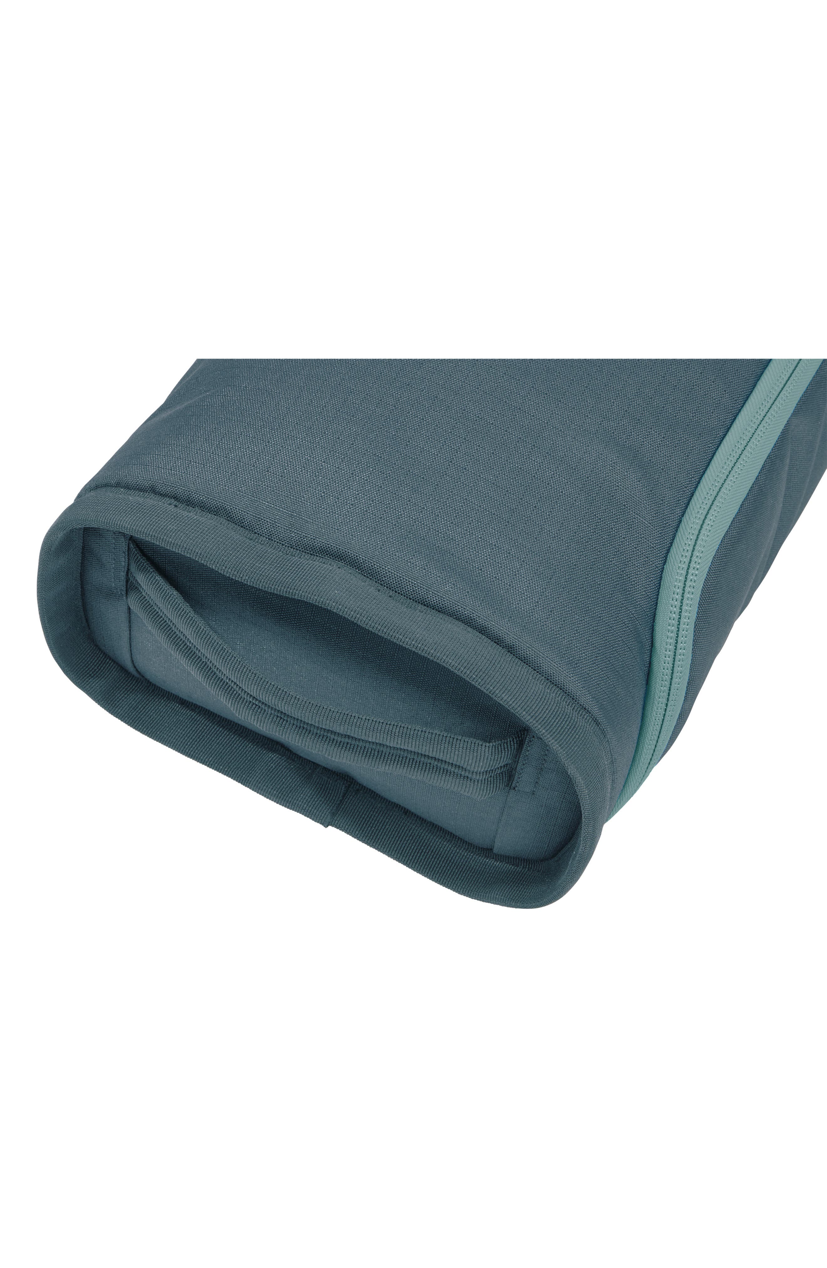 Thule RoundTrip Padded Ski Bag, Alternate, color, 