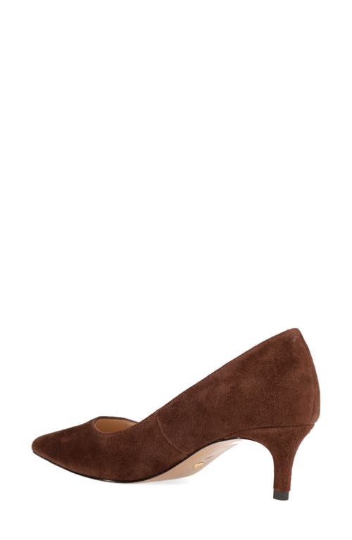 Pelle Moda Aeri Pointed Toe Kitten Heel Pump In Brown